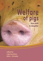 Welfare of pigs