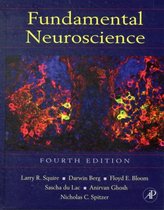 Fundamental Neuroscience 4th