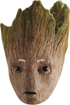 RUBIES FRANCE - Plat karton Avengers Infinity War Groot masker voor volwassenen - Maskers > Half maskers