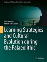 Learning Strategies and Cultural Evolution during the Palaeolithic