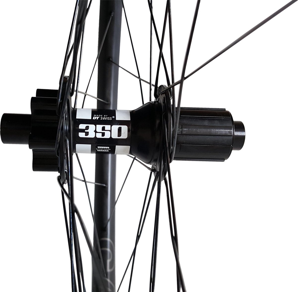 dt swiss carbon mtb
