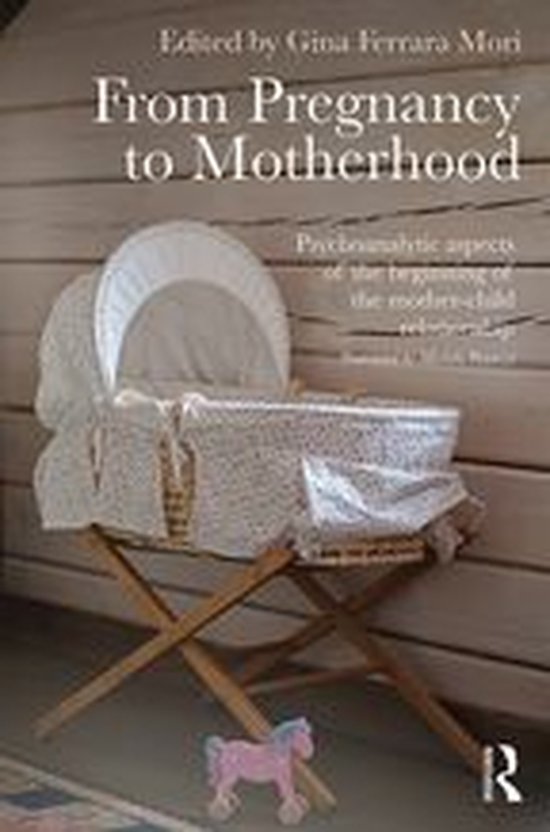 From Pregnancy to Motherhood - cover