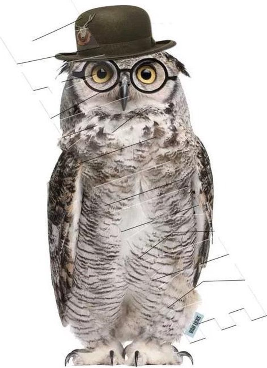 Muursticker Mr. Uil