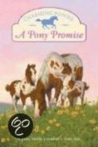 A Pony Promise