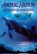 Journey Of The Giant