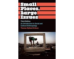 Omslag van Small Places, Large Issues