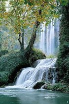 Waterval poster - rivier - 61 x 91.5 cm