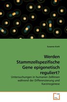 Werden Stammzellspezifische Gene epigenetisch reguliert?