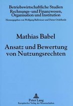 Ansatz Und Bewertung Von Nutzungsrechten