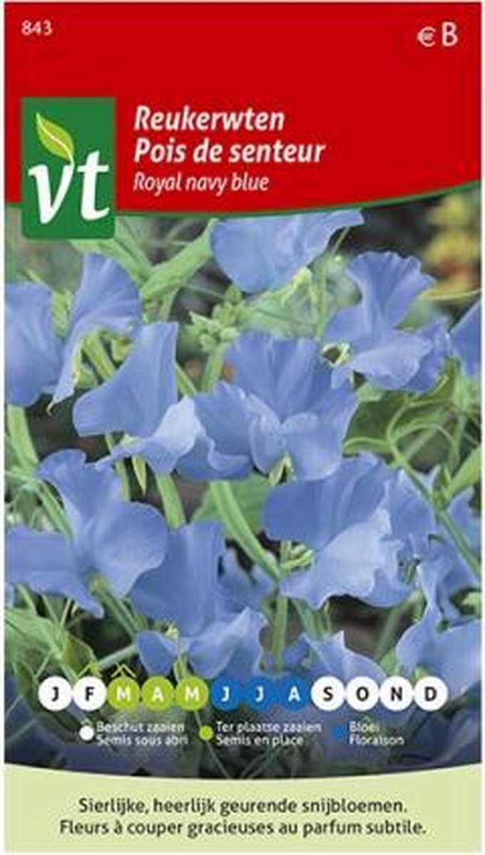 Reukerwten Royal Navy Blue, klimplant met heerlijk geurende en sierlijke bloemen