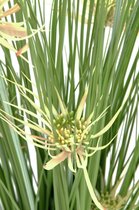 Europalms kunstplant gras Star grass, 105cm