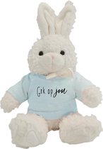 Konijnen knuffeltje met shirtje | Lichtblauw
