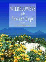Wildflowers of the Fairest Cape