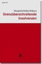 Grenzüberschreitende Insolvenzen