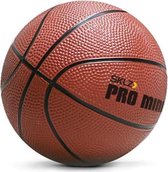 SKLZ Pro Mini Hoop Basketbal