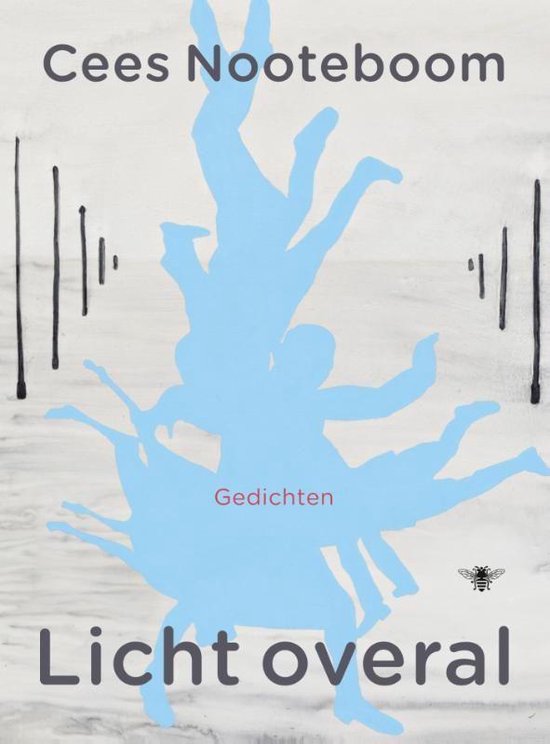 Cover van het boek 'Licht overal'