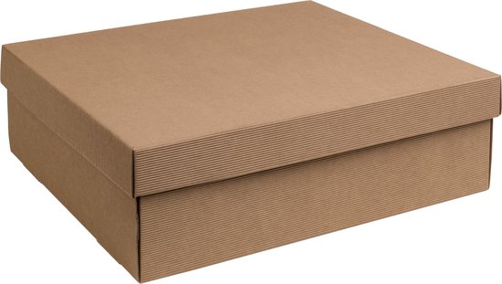 Luxe doos met deksel karton NATUREL 40x30x12cm (35 stuks) | bol.com