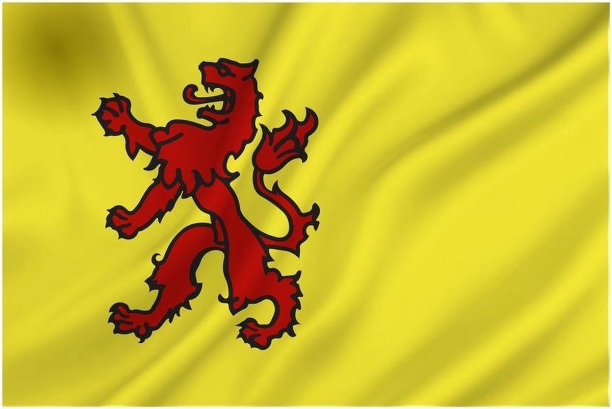 Vlag van Zuid Holland 90 x 150