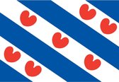 Vlag Friesland 90 x 150 cm
