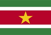 Vlag Suriname 90 x 150 cm