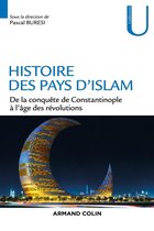 Histoire des pays d'Islam