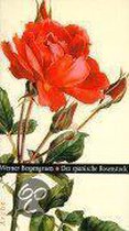 Der spanische Rosenstock