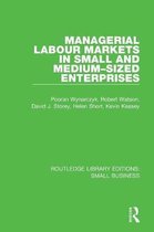 Routledge Library Editions: Small Business- Managerial Labour Markets in Small and Medium-Sized Enterprises