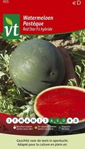 Watermeloen Red Star F1 hybride - Een robuuste variëteit voor teelt in volle grond
