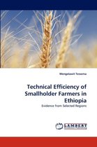 Technical Efficiency of Smallholder Farmers in Ethiopia