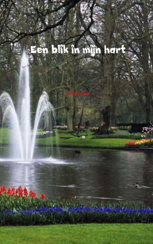 Cover van het boek 'Een blik in mijn hart'