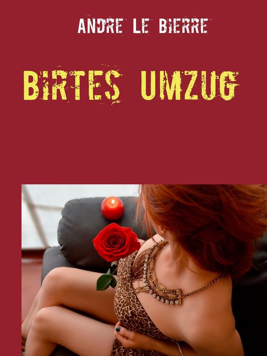 Birtes Umzug - cover