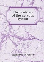 The anatomy of the nervous system