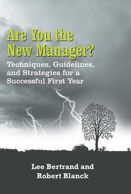 Are You the New Manager? - cover