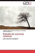 Estudio de Cuencas Urbanas