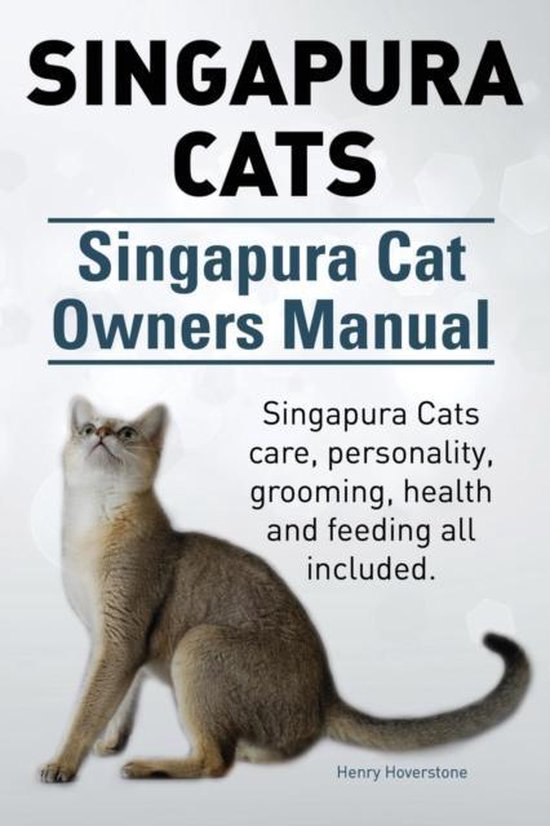 Singapura cat