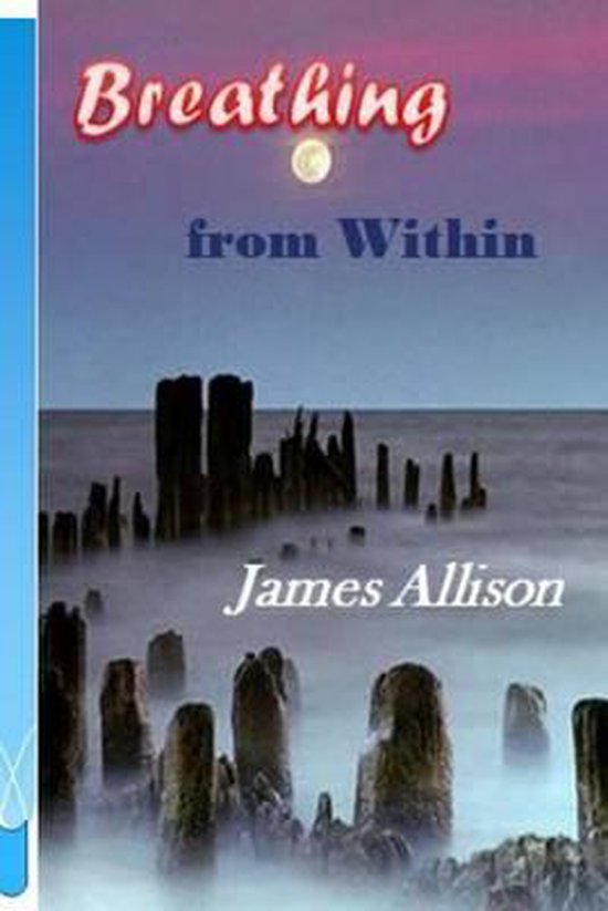 Boek cover Breathing From Within van James Allison