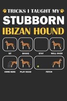 Ibizan Hound Journal