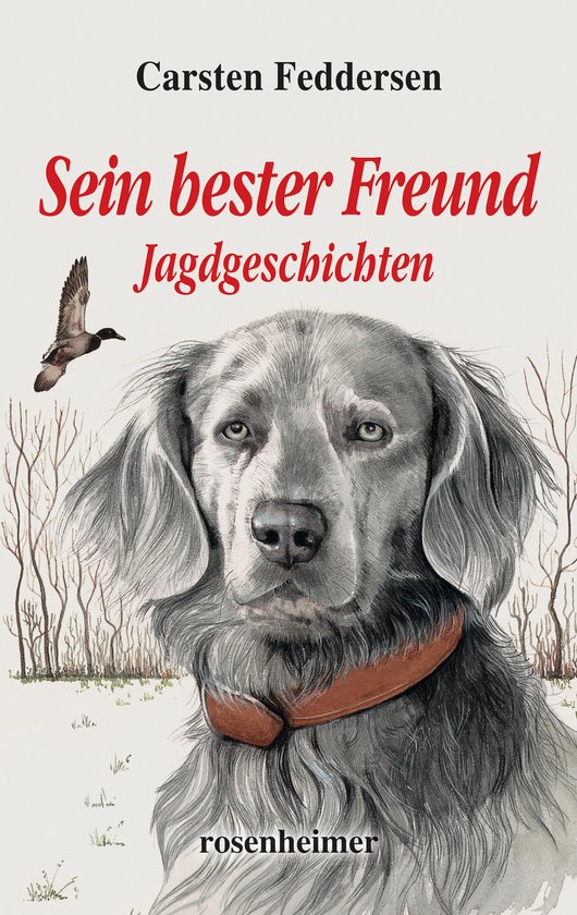 Jagdgeschichten - Sein bester Freund - Jagdgeschichten - cover