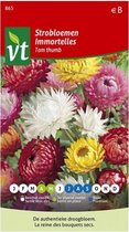 Strobloemen 'Tom Thumb' Zaden - Kleurrijke Droogbloemen voor Decoratie