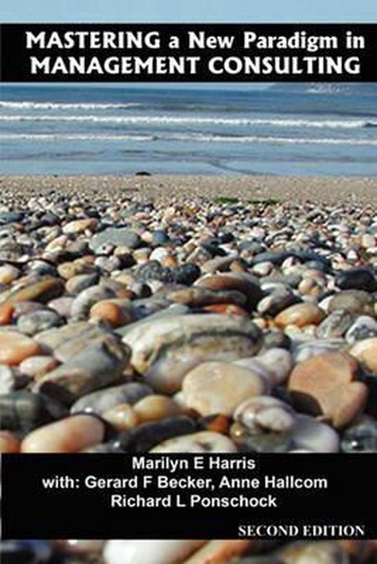 Mastering a New Paradigm in Management Consulting - cover