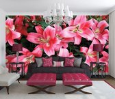Lilys Photo Wallcovering