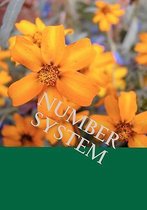 Number System