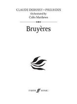 Bruyères (Prelude 14)