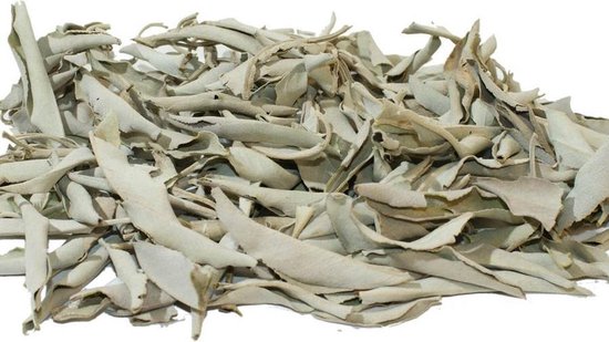 White Sage - Witte Salie Bladeren - losse bladeren - 100 gram - reiniging huis - smudge