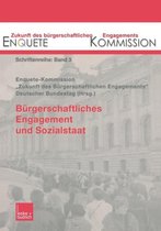 Burgerschaftliches Engagement Und Sozialstaat
