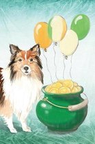 Shetland Sheepdog