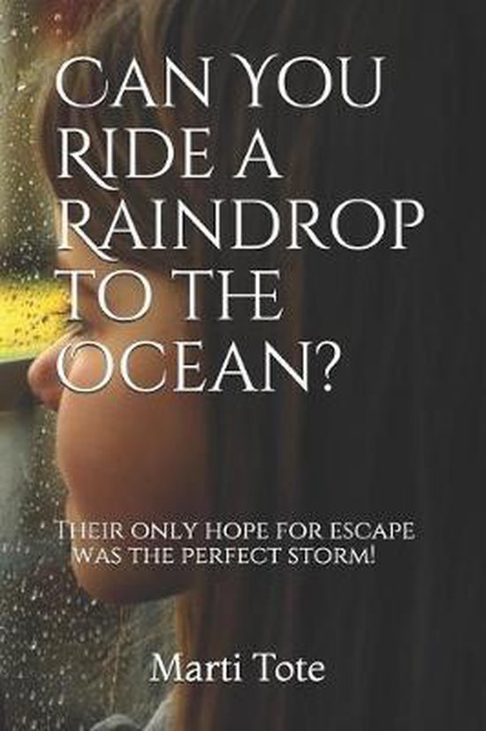 Can You Ride a Raindrop to the Ocean? - cover