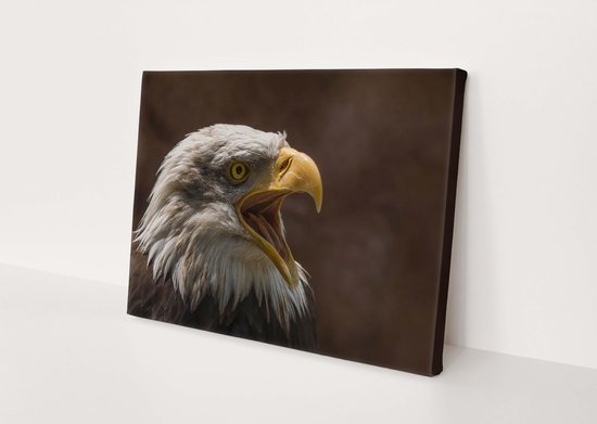 TOILE DE TOILE SEA EAGLE | Décoration murale | 150 cm x 100 cm | Peinture | Photo sur toile | Sur le mur | Animaux | Nature