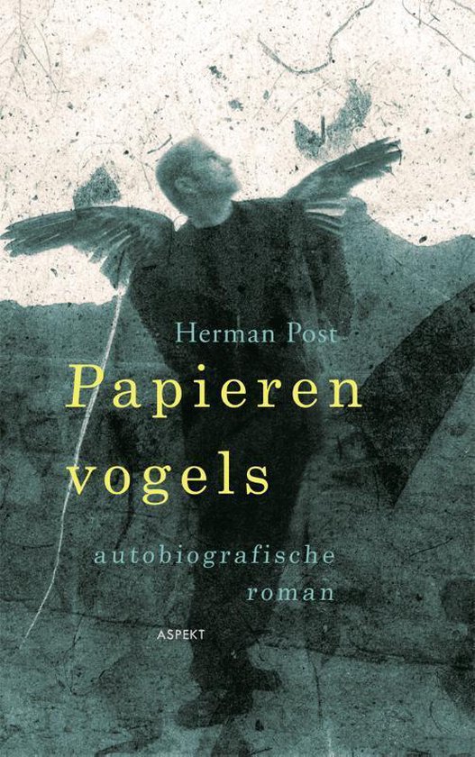Papieren vogels - Herman Post | 