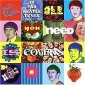 All You Need Is Covers: Songs of the Beatles